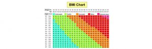 bmi index skema