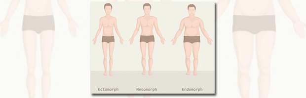 3 krops typer